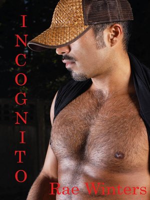 cover image of Incognito